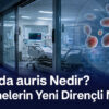 Candida auris Nedir? Hastanelerin Yeni Dirençli Mantarı